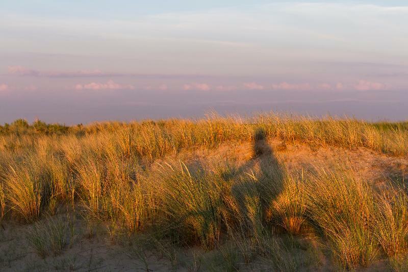 Westcord Hotel De Wadden フリーラント エクステリア 写真